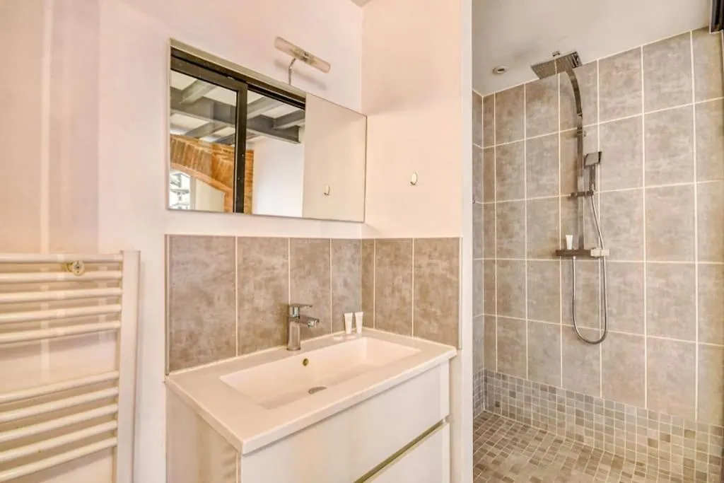 Apartment Appartement D'Architecte Hypercentre - Capitole Toulouse